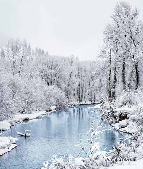 Montana in winter. Montana Winter, Winter Landscape, Montana, Horses, Water