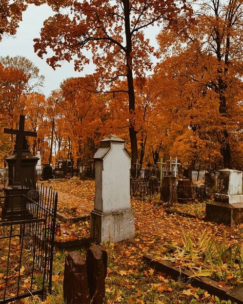 Halloween and Autumn 👻🍂 on Instagram: “A cemetery in Autumn! What is your favorite movie to watch on #halloween? I like to watch any horror movie and #HocusPocus! 👻🎃🍂 📷:…” New England Halloween Aesthetic, Cemetery Photography, Autumn Song, Old Cemetery, October Country, Movie To Watch, Old Cemeteries, Halloween Aesthetic, Autumn Scenery