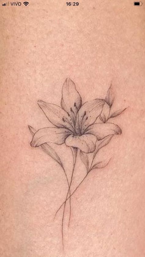 Small Tiger Lilly Flower Tattoo, Lily With Stem Tattoo, Azaleas Tattoo Flower, Stargazer Flower Tattoo, Lewisia Flower Tattoo, Small Azalea Flower Tattoo, White Lily Flower Tattoo, Simple Tiger Lily Tattoo, Lillys Flowers Tattoo