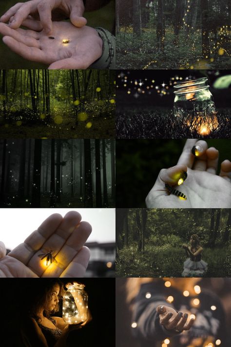 Fireflies aesthetic Firefly Aesthetic, Firefly Images, Firefly Photography, Fire Flies, Film Reference, College Inspiration, Firefly Art, Photography Hacks, Catching Fireflies