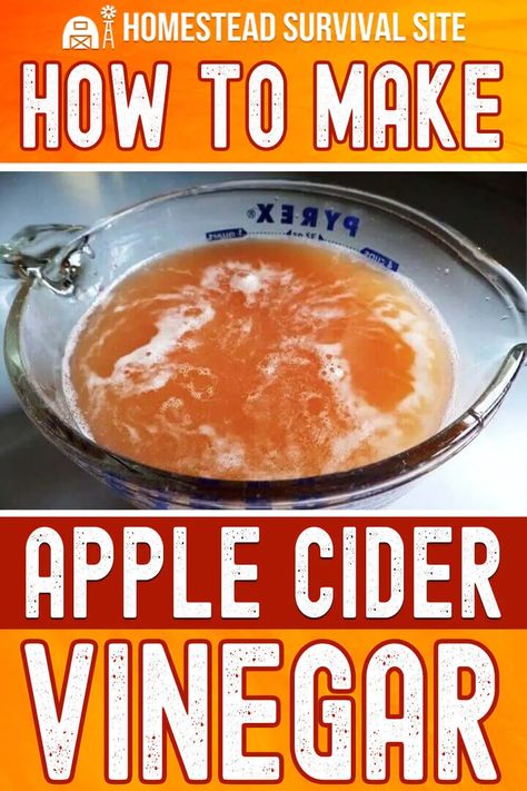 Apple cider vinegar has many uses and health benefits, so knowing how to make apple cider vinegar is great if you live off the grid. Homemade Apple Cider Vinegar, Make Apple Cider, Diy Apple Cider, Making Apple Cider, Make Apple Cider Vinegar, Apple Cider Vinegar Recipes, Live Off The Grid, Homemade Apple Cider, Losing 40 Pounds