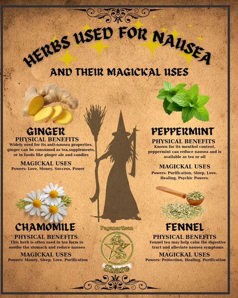 I have been very ill the last few days, but my Witchy Wife has been golden in nursing me. So she made this pin for all the people in the same predicament. Herbs have long been cherished in witchcraft for their healing properties, especially for ailments like nausea. 🌿 Ginger is a popular choice, known for its soothing effects on the stomach. 🍋 Lemon balm, with its calming aroma, is another favorite among practitioners. 🌼 Peppermint, often used in teas, can also help alleviate queasine... Ginger Witchcraft, Daily Witchcraft, Latin Spells, Herbal Properties, Spiritual Pics, Magick Herbs, Fennel Tea, Herbal Health, Reduce Nausea