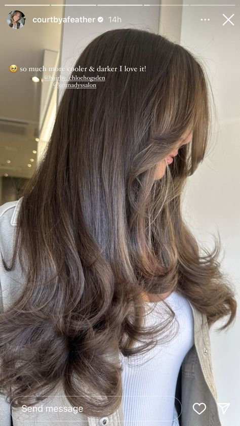 Light Brunette Hair, Black Hair Balayage, Brown Hair Looks, Brown Hair Inspo, Brunette Hair With Highlights, Hair Color Light Brown, Hairstyles For Layered Hair, Hair With Highlights, Highlights Brown Hair