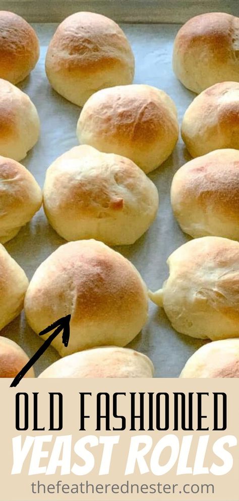 Old Fashion Yeast Rolls, Old Fashioned Yeast Rolls, Old Fashioned Dinner Rolls, Best Homemade Rolls, Old Fashioned Yeast Rolls Recipe, School Yeast Rolls Recipe, Homemade Yeast Rolls, Yeast Rolls Recipe, No Yeast Dinner Rolls