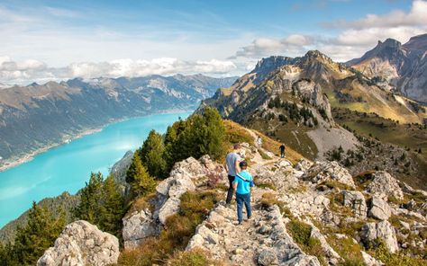 Schynige Platte Panorama Ridge Trail Swiss Travel Pass, Family Hiking, Hiking Map, Park Playground, Itinerary Planning, Hiking With Kids, Interlaken, Europe Summer, Zermatt