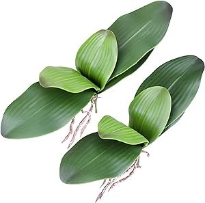 Leaves Template, Hair Dryer Set, Orchid Leaves, Seed Wedding Favors, Wood Guest Book, Artificial Orchids, Orchid Arrangements, Phalaenopsis Orchid, Flower Leaf