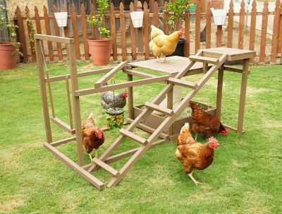 Chicken Playground, Urban Chicken Farming, Portable Chicken Coop, Pet Chicken, Chicken Toys, Urban Chickens, Chickens And Ducks, Best Chicken Coop, Chicken Houses