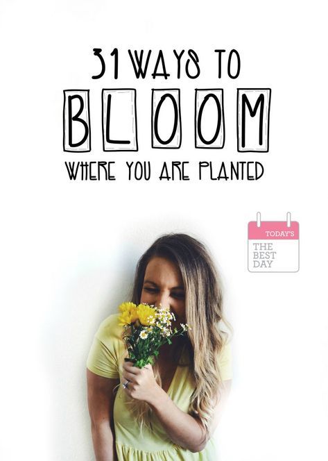 Bloom Where You Are Planted Bible Verse, Great Qoutes, Plants Classroom, Bloom Quotes, Fabulous 50, Medical Office Design, Plant Party, Find Your Why, Bloom Where Youre Planted