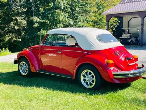 Vw Convertible, Vw Beetle For Sale, Volkswagen Beetle Vintage, Vw Beetle Convertible, Volkswagen Beetle Convertible, Beetle For Sale, Beetle Convertible, Volkswagen Models, Cars Vintage