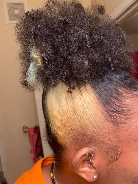 Blonde Skunk Stripe 4c Hair, Skunk Strip, Blonde Skunk Stripe, Hair Stripes, Skunk Stripe, Dyed Hair Inspiration, Dye Ideas, Protective Hairstyles Braids, Big Chop