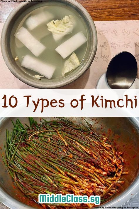 Napa Cabbage Korean Recipes, Different Types Of Kimchi, Types Of Kimchi, Mild Kimchi Recipe, Authentic Kimchi Recipe, Baek Kimchi Recipe, Scallion Kimchi, Mild Kimchi, Kimchi Mushroom