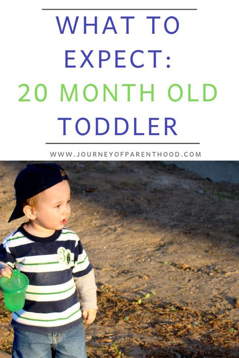 What to expect with a 20 month old toddler boy - toddler development and milestones in the first year of life. #toddler #20monthsold #toddlerdevelopment 20 Month Old Milestones, Toddler Milestones, Monthly Pictures, Old Dress, Toddler Development, Parenting Toddlers, Girl Toddler, Toddler Learning Activities, Toddler Life