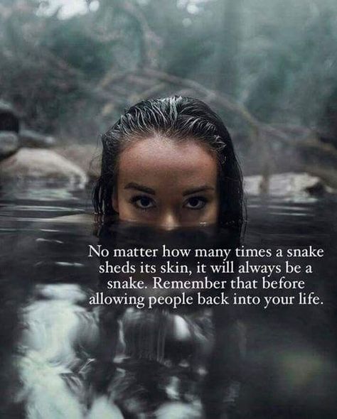 A snake will always be a snake ...never trust a snake cuae you will ne bitten when you least expect it ..... Shedding Skin, Snake Shedding, A Snake, Oils For Skin, A Quote, Focus On, Life Lessons, Wise Words, Favorite Quotes