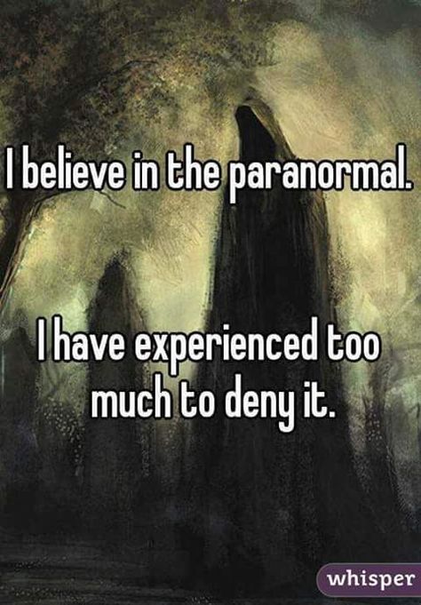 I Believe.... Paranormal Quotes, Nick Groff, Ghost Pics, Haunted Locations, Paranormal Stories, Colorado Denver, Creepy Things, Arte Alien, Ghost Adventures