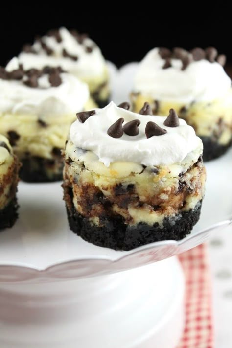 Mini Chocolate Chip Cheesecakes Biscotti Cheesecake, Mini Cheesecake Recipes, Cheesecake Mini, Chocolate Chip Cheesecake, Mini Cheesecakes, Savoury Cake, Mini Chocolate Chips, Best Dessert Recipes, Homemade Chocolate