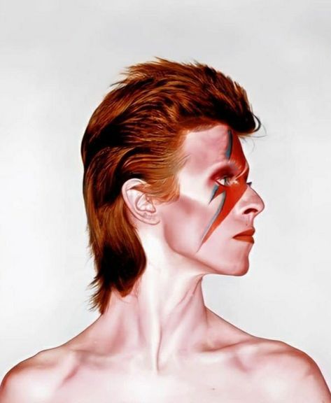 David Bowie Haircut, David Bowie Photoshoot, David Bowie Profile Picture, David Bowie Icon, David Bowie Reference, David Bowey, David Bowie Hair, David Bowie 70s, David Bowie Makeup Ziggy Stardust