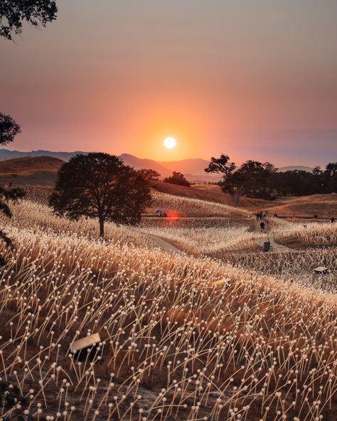 California Central Coast, Allison Anderson, California Countryside, California Bucket List, Pinnacles National Park, California Travel Guide, Central Coast California, Nature Hikes, California Landscape