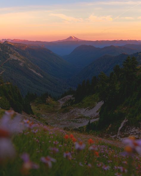 summer looks good on mount rainier national park ✨🏔️ Courtney Wilson, Washington Trip, Mama Earth, Mt Rainier National Park, National Parks Photography, North Cascades National Park, Cottage Life, Hiking Destinations, Mount Rainier National Park