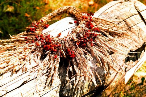 Slavic Magic: Rituals, Spells, and Herbs Ukrainian Mythology, Pagan Calendar, Types Of Basil, Slavic Paganism, Paganism Spells, Slavic Mythology, Slavic Folklore, Roots And Wings, Pagan Rituals