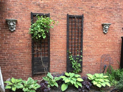 Exterior Brick Wall Decor Ideas, Trellis Brick Wall, Exterior Brick Wall Ideas, Garden Against Brick Wall, Brick Wall Ideas Outdoor, Brick Wall Art Outdoor, Brick Wall Decor Outdoor, Exterior Brick Wall Decor, Brick Wall Garden Ideas