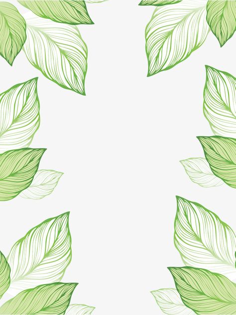 Summer Border Design, Poster Border Ideas, Plant Borders, Plant Border, Summer Border, Leaves Border, Hand Drawn Border, Border Png, Leaves Art