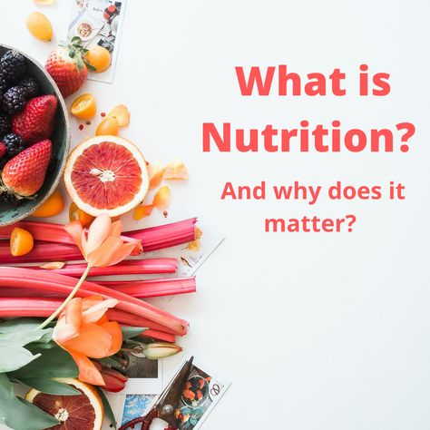 What is Nutrition? Why does it matter? What Is Nutrition, National Nutrition Month, Nutrition Month, Nutrition Science, Visceral Fat, Fad Diets, Registered Dietitian, Nutrition Tips, Nutrition Recipes