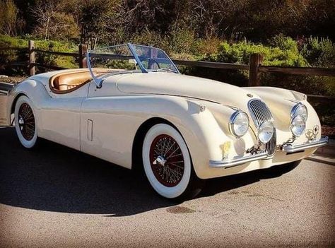 Jaguar Xk120 Roadster, Jaguar Roadster, Vintage Jaguar, Austin Martin, Jaguar Xk120, Vintage Sports Cars, Jaguar Xk, Best Classic Cars, Jaguar Car