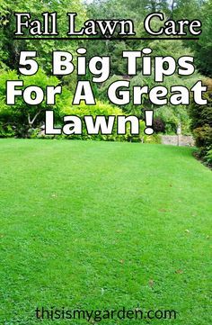 Garden Bridge Ideas, Create A Flower Bed, Garden Patio Designs, Fall Lawn Maintenance, Pond Inspiration, Bridge Ideas, Fall Lawn Care, Flower Bed Decor, Organic Lawn Care