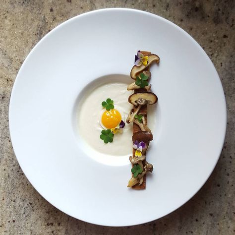 355 Likes, 16 Comments - Chai (@lvin1stbite) on Instagram: “Cauliflower soup, quail egg, shitaki & shimeji mushroom, wood sorrel and viola flower…” Mushroom Soup Plating, Shimeji Mushroom, Fancy Food Presentation, Wild Mushroom Soup, Food Plating Techniques, Plated Dessert, Plating Ideas, Viola Flower, Wood Sorrel