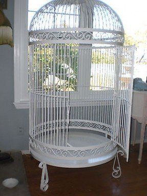 Large Birdcage Decor Ideas, Victorian Bird Cage, Bird Cages For Sale, Antique Bird Cages, Pool Porch, Large Bird Cages, Vintage Ladder, Grey Parrot, Best Iron