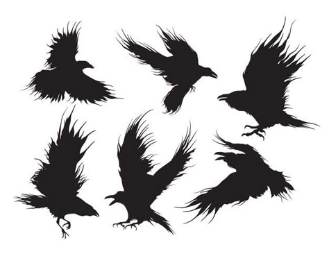 Crows Flying, Crow Logo, Crow Flying, Crow Silhouette, Crow Tattoo Design, Eagle Silhouette, Black Bird Tattoo, Black Crows, Crow Tattoo