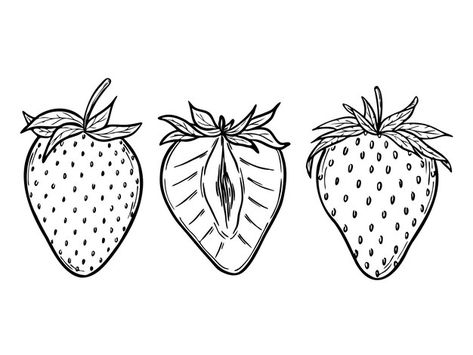 Botanical Outline, Book Page Background, Pattern Packaging, Monochrome Drawing, Line Art Drawing, Outline Illustration, Fruit Illustration, Tattoo Outline, Outline Drawings