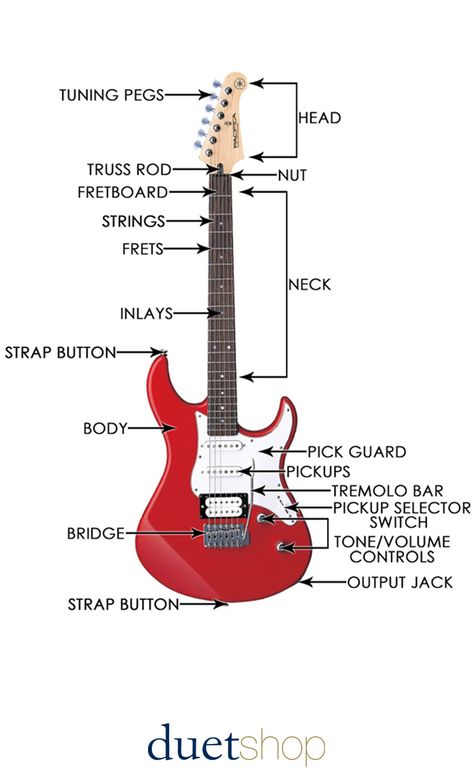 Electric Guitar Anatomy, Parts Of A Guitar, Different Types Of Guitars, Electric Guitar Types, How To Play The Electric Guitar, Electric Guitar Learning, Electric Guitar Sheet Music, How To Learn Electric Guitar, Electric Guitar Tips