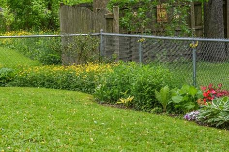 Perennial Flower Garden, Chainlink Fence, Chain Fence, Garden Flowers Perennials, Award Ribbons, Native Gardens, Perennial Flower, Raised Flower Beds, Pinterest Garden