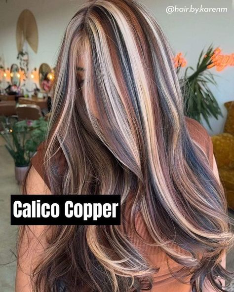 Calico Hair Purple, Honey Blonde Chunky Highlights, Calico Hair Color Placement, Calico Hair Black Women, Winter 2025 Hair Color Trends, Calico Hair On Curly Hair, Calico Cat Hair Color, Fox Dyed Hair, Calico Hair Color Hairstyles