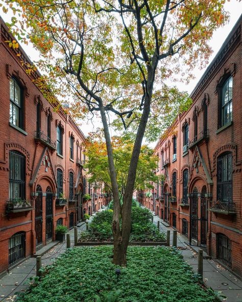 Cobble Hill Brooklyn, Architecture Classic, Cobble Hill, World Traveler, Brooklyn, A Place, Real Estate, Log In, Log