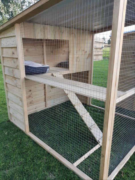 Outdoor Kitty Enclosures, Cat Outdoor Enclosure, Cat Tunnel Outdoor, Outdoor Pet Enclosure, Meat Rabbits, Niche Chat, Cat Patio, Outdoor Cat Enclosure, Cat House Diy