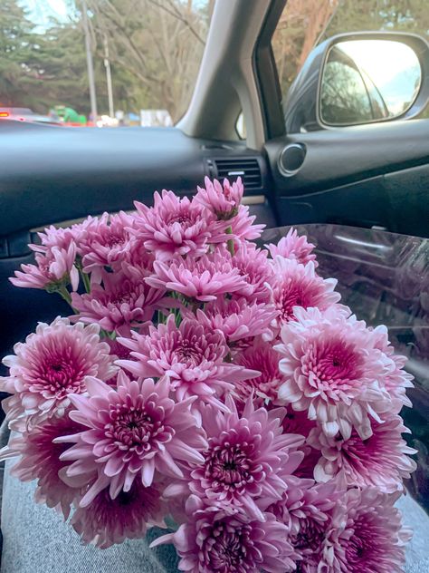 #flowers #flowerstagram #flowerslovers #spring #mood #aesthetic #aesthetictumblr #aestheticwallpaper #chrysanthemum Crysthanamum Flowers, Crythanthimum Flowers, Chrysanthemums Aesthetic, Aesthetic Chrysanthemum, Chrysanthemum Flower Aesthetic, Chrysanthemum Aesthetic, Crysantenum Flower, Chrysanthemums Bouquet, Crysanthemum Flower