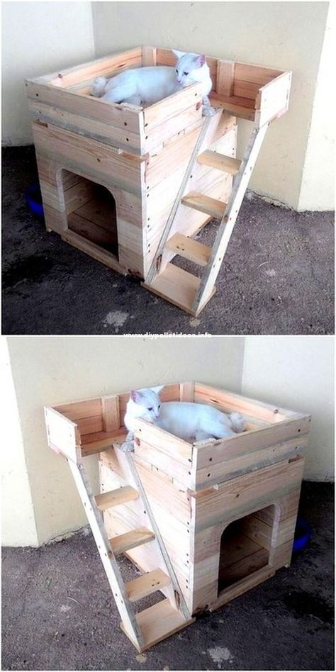 Furniture With Wallpaper, Katt Grejer, Diy Cat Tree, Cat House Diy, Cats Diy Projects, Cat Playground, With Wallpaper, Diy Holz, Wood Pallet Projects