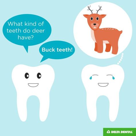 Buck teeth... #dentistjokes Dentist Jokes, Dentist Teeth, Dental Posts, Dental Jokes, Dental Fun, Dentist Humor, Dental Facts, Cheesy Jokes, Dental Marketing