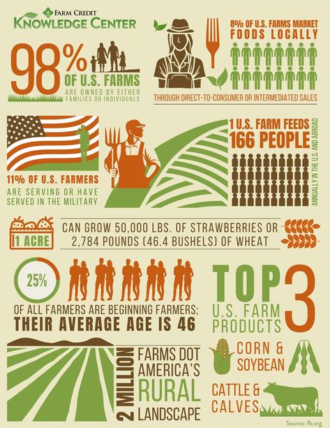 Everyone is a consumer of products derived from the agricultural industry. Agriculture Mood Board, Agriculture Infographic, Statistical Infographic, Agriculture Poster, Manifesto Poster, Scientific Poster Design, Farm Facts, Agriculture Design, Scientific Poster