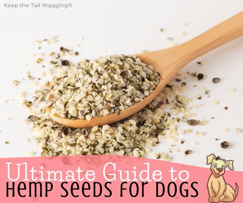 Hemp Dog Treats, Dog Safe Vegetables, Hemp Seed Benefits, Dog Food Recipes Crockpot, Raw Feeding For Dogs, Cook Dog Food, Raw Dog Food Diet, Hemp Plant, Seeds Benefits