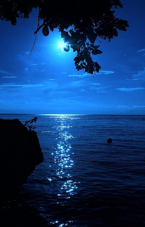 Moonlight Photography, Moon Photography, Beautiful Moon, Beautiful Nature Wallpaper, The Night Sky, Moon Art, Blue Aesthetic, Nature Wallpaper, Amazing Nature