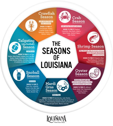 Louisiana Culture, Cajun French, Louisiana Creole, New Orleans Vacation, Louisiana History, Crawfish Season, Louisiana Travel, Louisiana Cajun, Louisiana Recipes