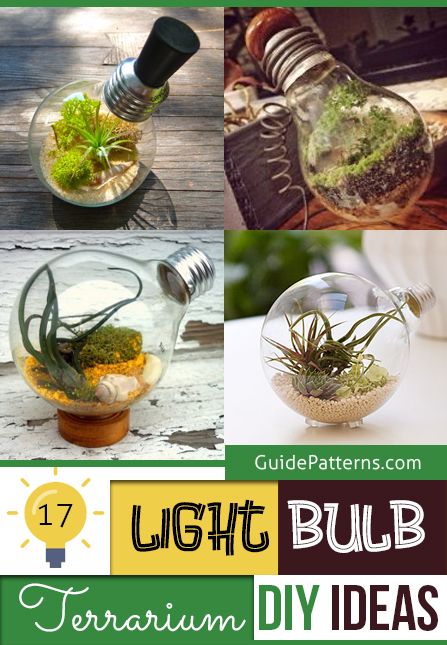 Light Bulb Terrarium Diy, Light Bulb Terrarium, Recycled Light Bulbs, Diy Light Bulb, Hanging Light Bulbs, Light Bulb Crafts, Hanging Terrarium, Mini Terrarium, Diy Light Fixtures