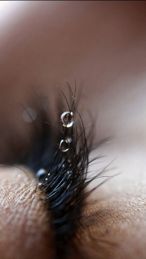 Rain drops on my eye lashes Drop Painting, Honey Drops, Eye Drop, Watery Eyes, Eye Drops, Eye Lashes, Water Droplets, Rain Drops, Water Drops