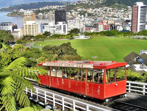 Family World, Wellington New Zealand, Cable Cars, Kids Travel, Cable Car, Queenstown, One Month, Travel Itinerary, Travel With Kids