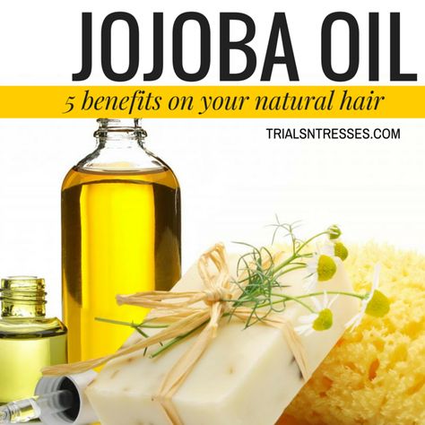 5 Benefits Of Jojoba Oil On Your Natural Hair Benefits Of Jojoba Oil, Coconut Oil Hair Mask Diy, Jojoba Oil Hair, Hair Mask Diy, Jojoba Oil Benefits, Olive Hair, Coconut Oil Hair Mask, Hair Care Regimen, Natural Hair Care Tips