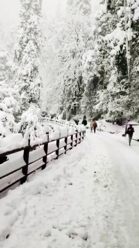 apurva_chauhan09 on Instagram: Waiting for this season’s snowfall ❄️♥️ . . . . . . . . #shimlahills #shimladiaries #featured #instagramreelsindia #himachalpradeshtourism… Shimla, Himachal Pradesh, Tourism, Collage, On Instagram, Pins, Quick Saves, Instagram