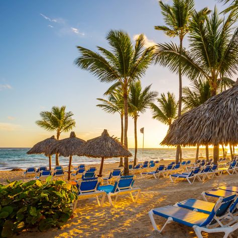 Budget friendly all-inclusive luxury vacations Punta Cana Beach, Punta Cana Resort, Caribbean Destinations, Honeymoon Resorts, Couples Vacation, Beach Frame, Inclusive Resorts, Punta Cana, All Inclusive Resorts